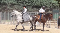1er concours d'équitation de travail : le 5 Mai 2018 à Equifeel !!
